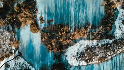 Ligula tristique quis risus